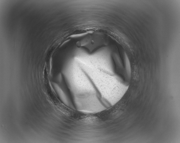 X0000082960210200702152314