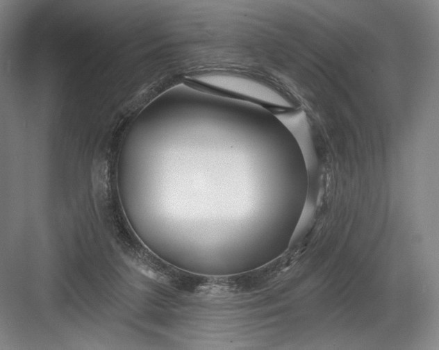 X0000082960211200702152314