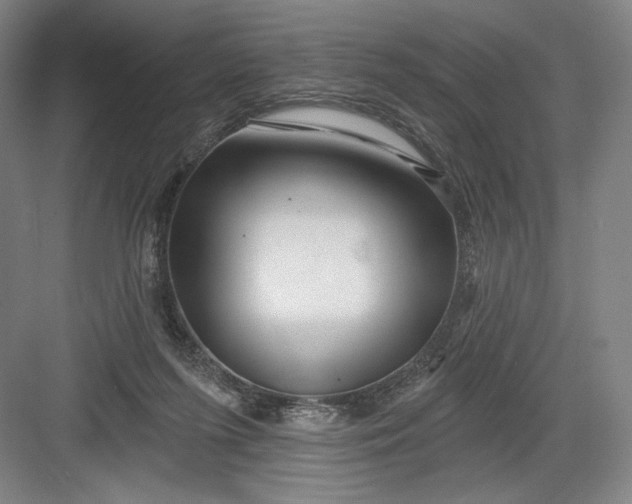 X0000082960215200702152314