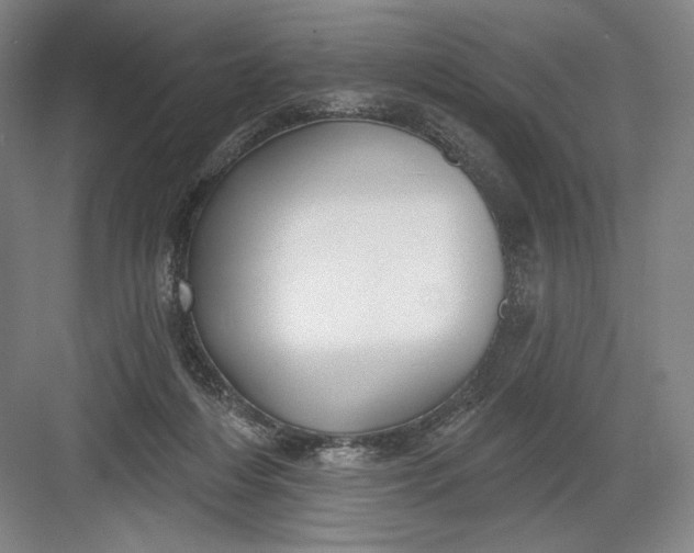 X0000082960216200702152314