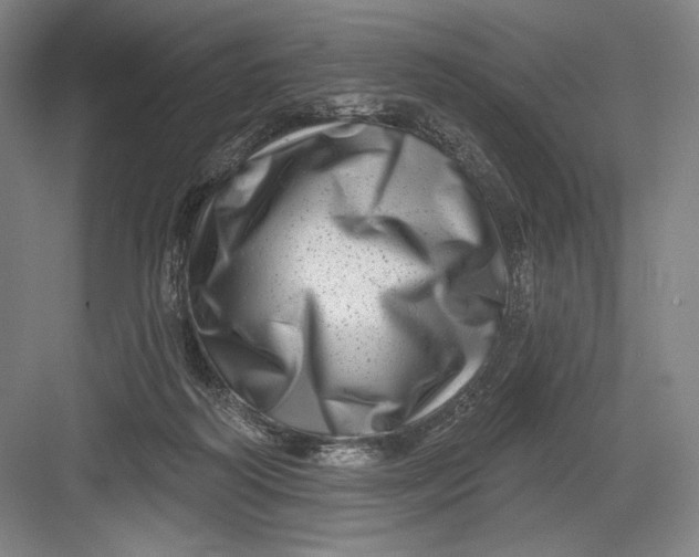 X0000082960218200702152314