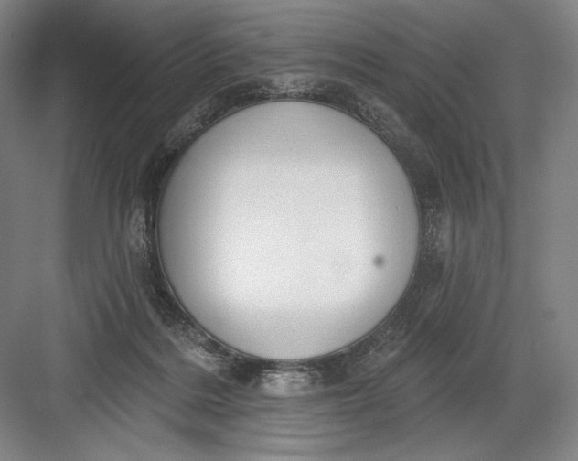 X0000082960220200702152314