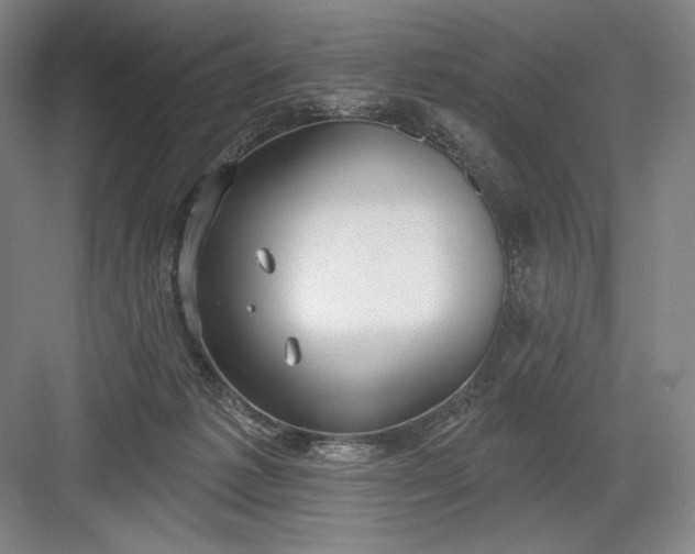 X0000082960221200702152314