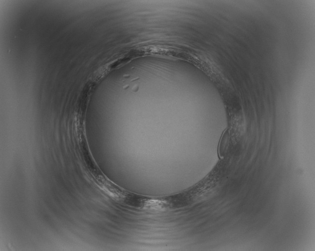 X0000082960222200702152314