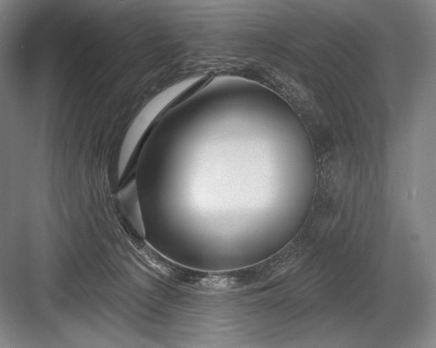 X0000082960225200702152314