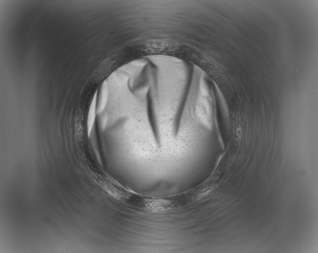 X0000082960226200702152314