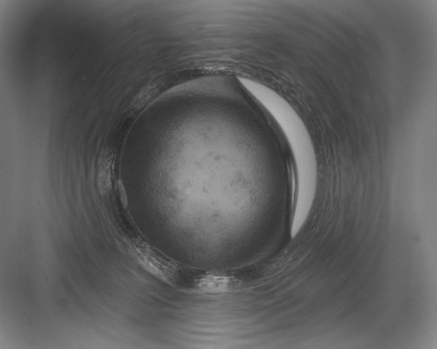 X0000082960227200702152314