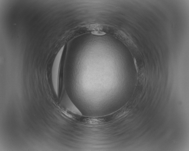 X0000082960229200702152314