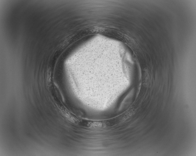 X0000082960230200702152314