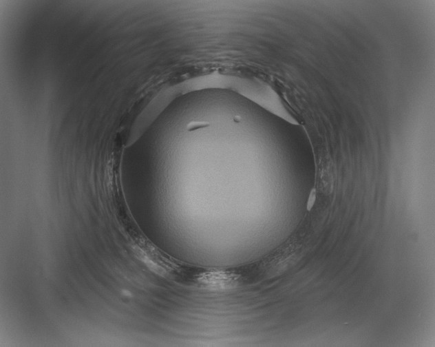 X0000082960231200702152314