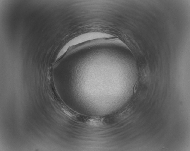 X0000082960232200702152314