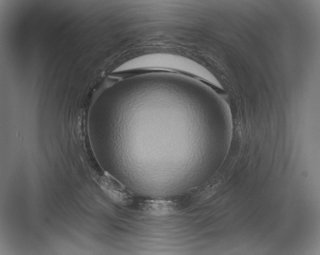 X0000082960233200702152314