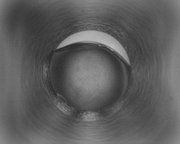 X0000082960235200702152314