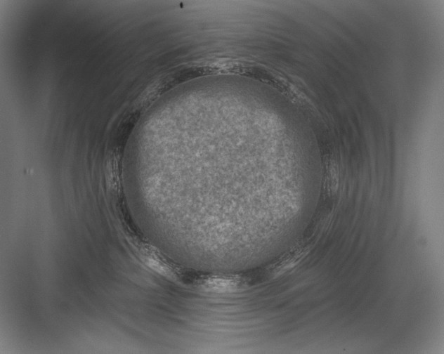 X0000082960236200702152314