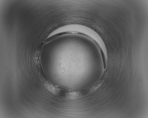 X0000082960237200702152314