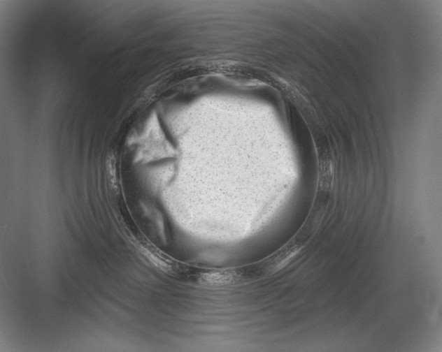 X0000082960238200702152314