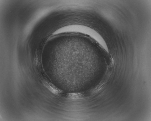 X0000082960239200702152314