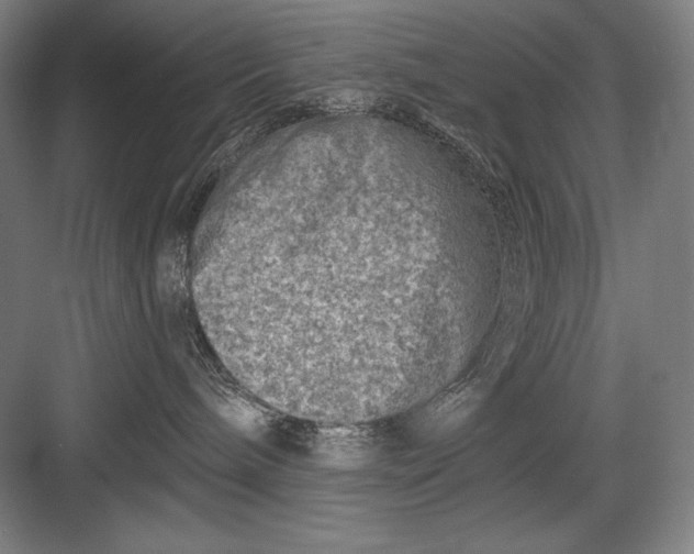 X0000082960240200702152314