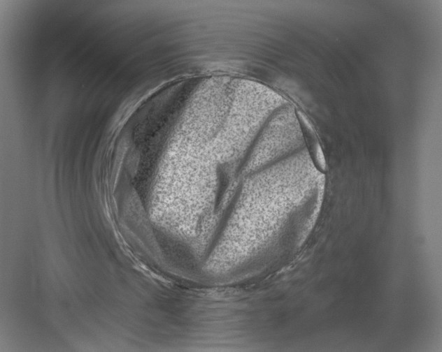 X0000082960241200702152313