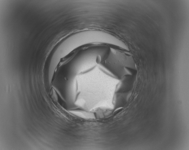 X0000082960242200702152313