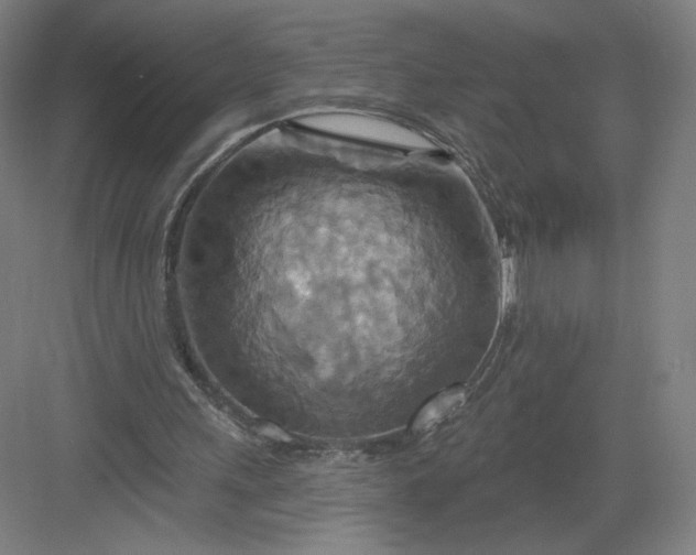 X0000082960243200702152313