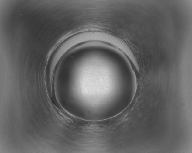 X0000082960244200702152313