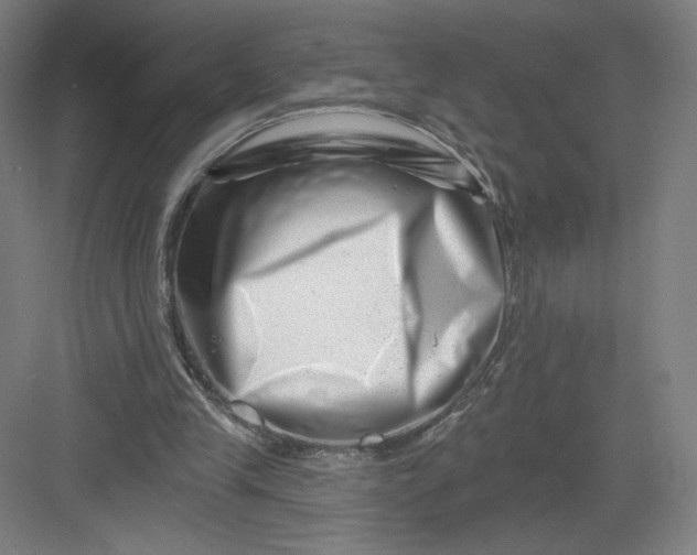 X0000082960245200702152313