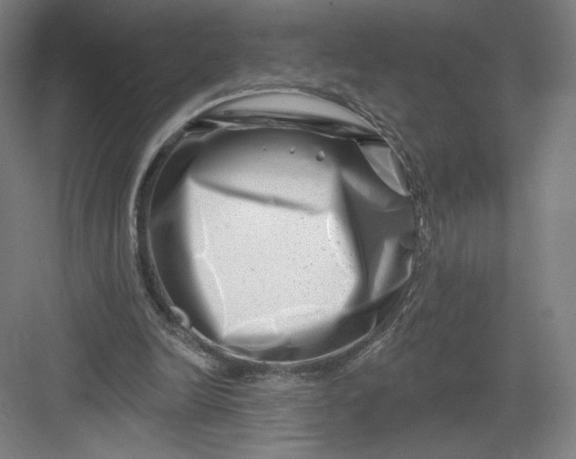 X0000082960246200702152313