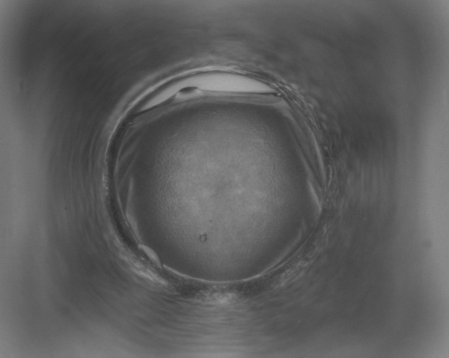 X0000082960247200702152313