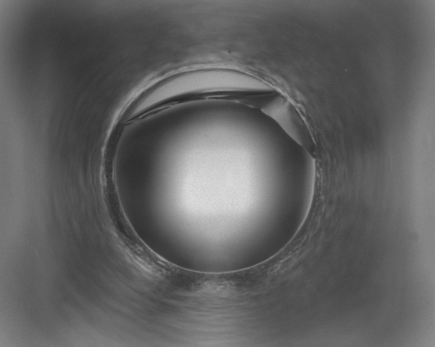 X0000082960248200702152313