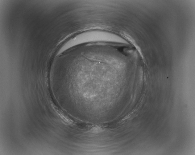 X0000082960249200702152313