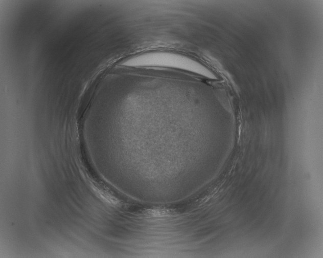 X0000082960250200702152313