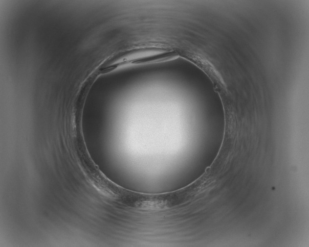 X0000082960251200702152313