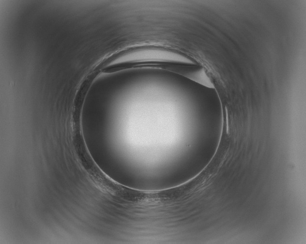 X0000082960252200702152313