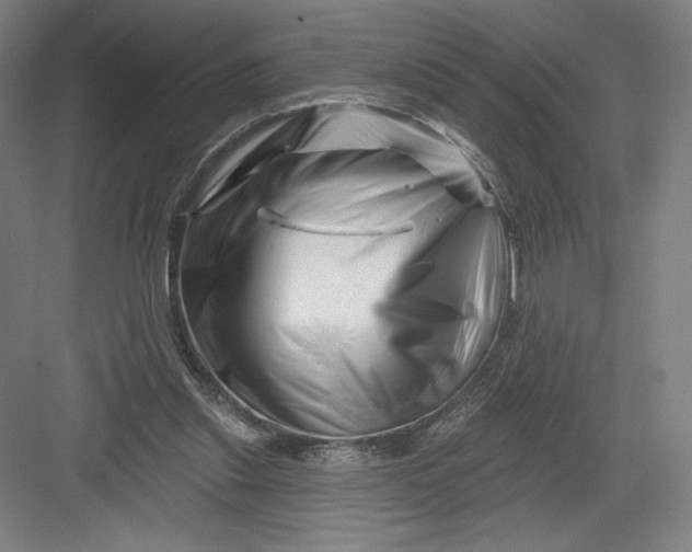 X0000082960253200702152313