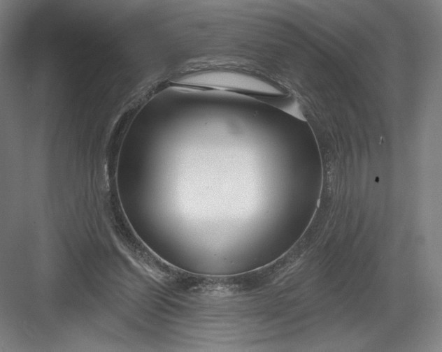 X0000082960254200702152313