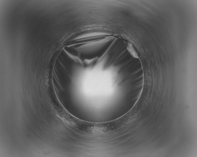 X0000082960255200702152313