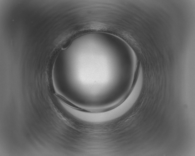 X0000082960256200702152313