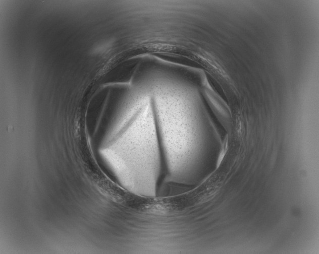 X0000082960259200702152313