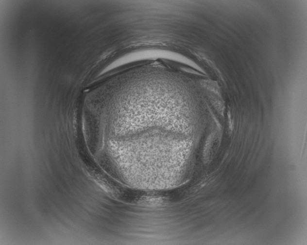 X0000082960260200702152313