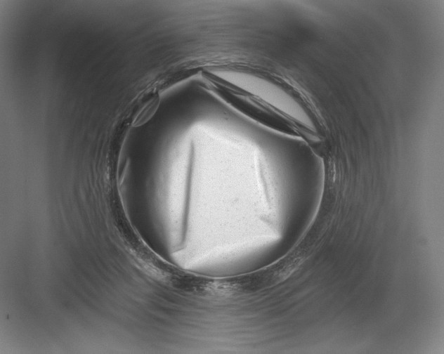 X0000082960261200702152313