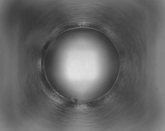 X0000082960262200702152313