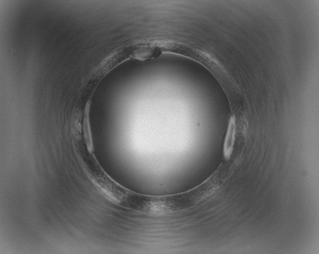 X0000082960264200702152313