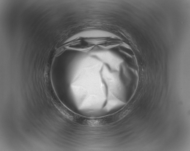 X0000082960265200702152313