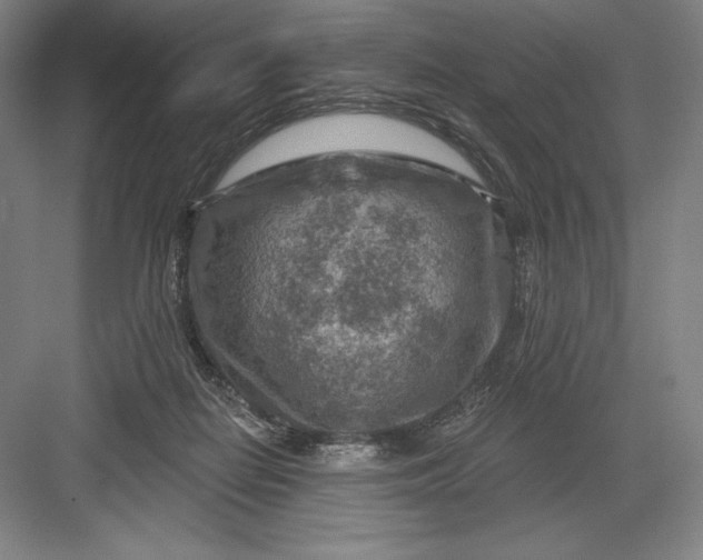 X0000082960266200702152313