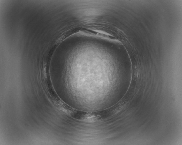 X0000082960267200702152313