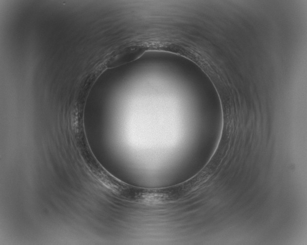 X0000082960268200702152313