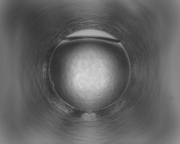 X0000082960271200702152314