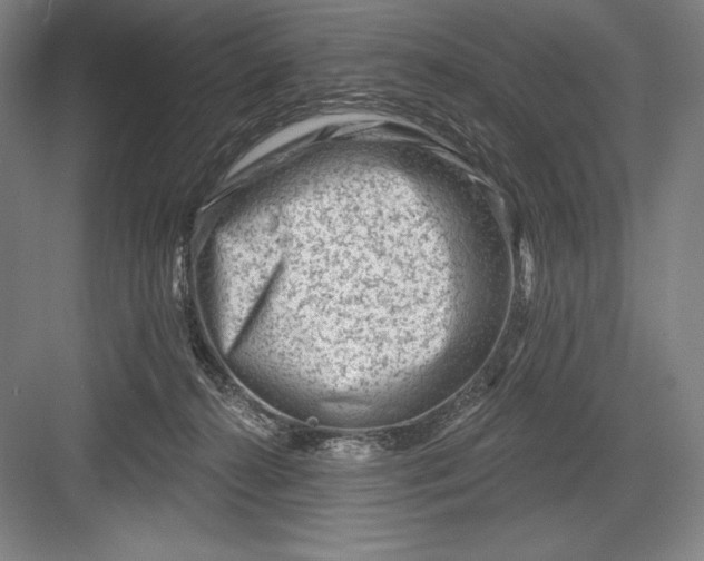 X0000082960272200702152314