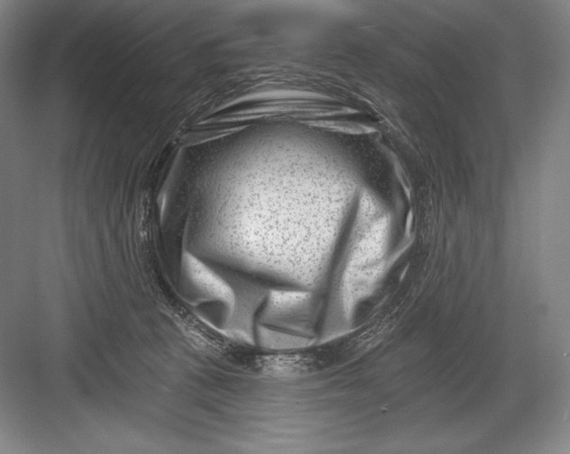 X0000082960273200702152314